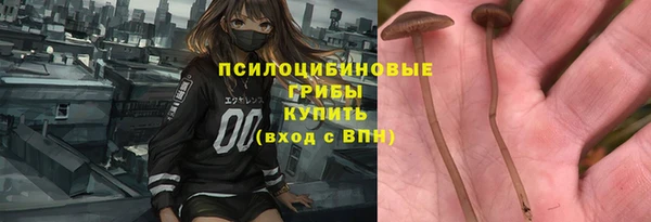 герыч Гусь-Хрустальный