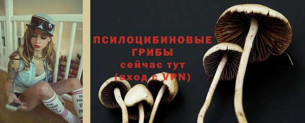 каннабис Дмитровск