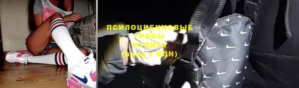 герыч Гусь-Хрустальный