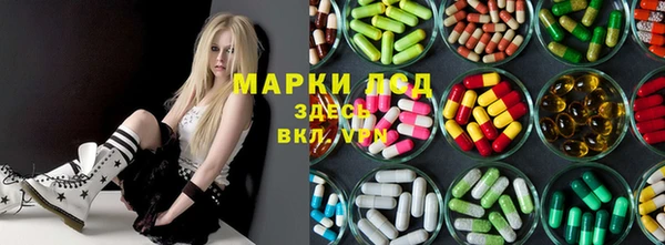 mdpv Гусев