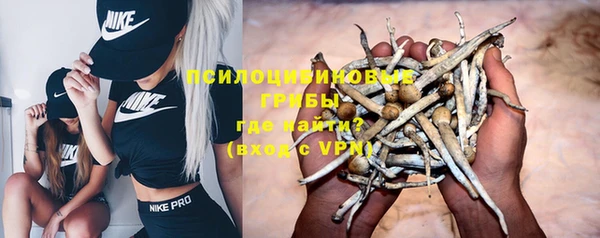 mdpv Гусев