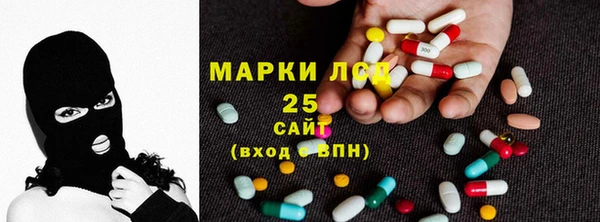 mdpv Гусев