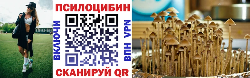 дарнет шоп Дубовка Псилоцибиновые грибы GOLDEN TEACHER