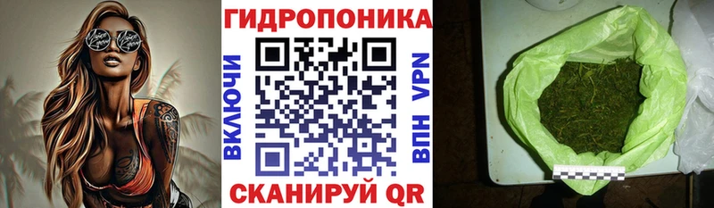 Шишки марихуана Amnesia  Дубовка 